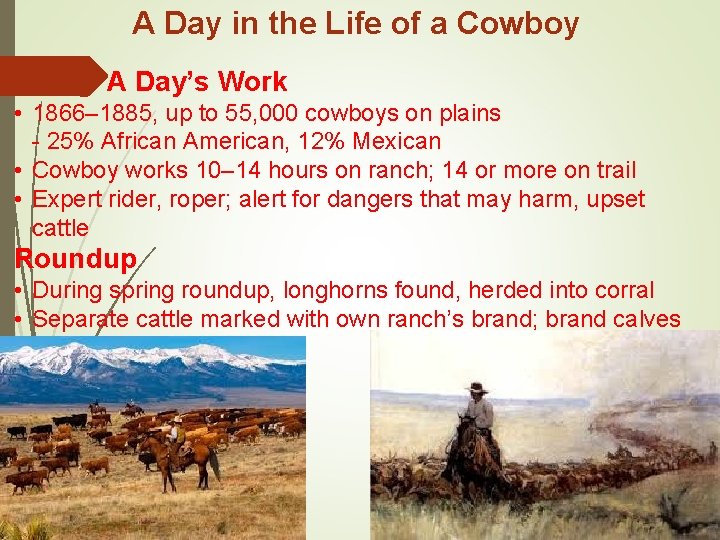 A Day in the Life of a Cowboy A Day’s Work • 1866– 1885,