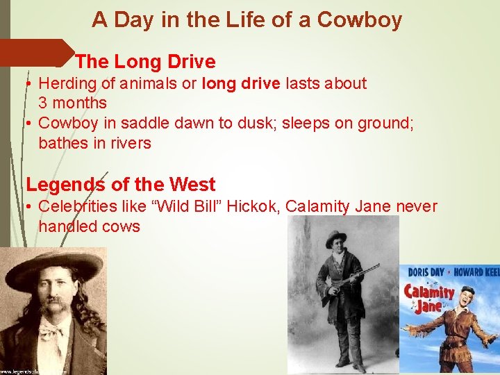 A Day in the Life of a Cowboy The Long Drive • Herding of