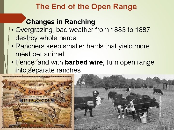 The End of the Open Range Changes in Ranching • Overgrazing, bad weather from