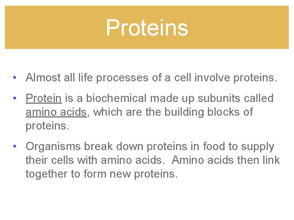 Proteins • Almost all life processes of a cell involve proteins. • Protein is