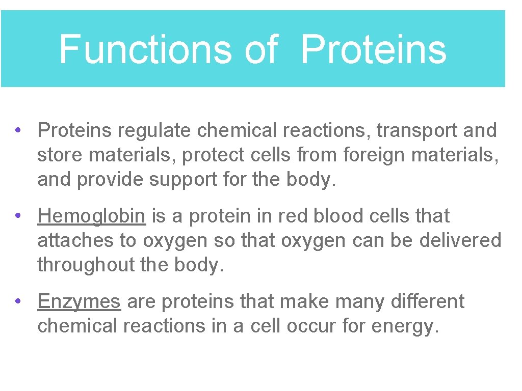 Functions of Proteins • Proteins regulate chemical reactions, transport and store materials, protect cells