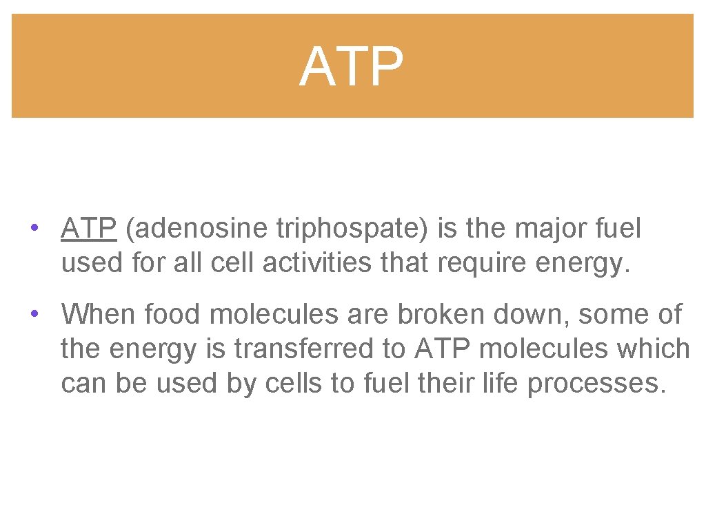 ATP • ATP (adenosine triphospate) is the major fuel used for all cell activities