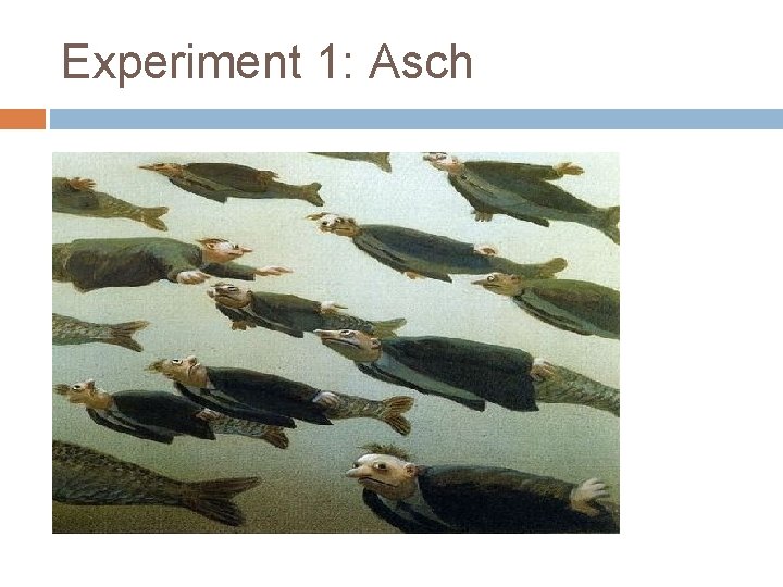 Experiment 1: Asch 