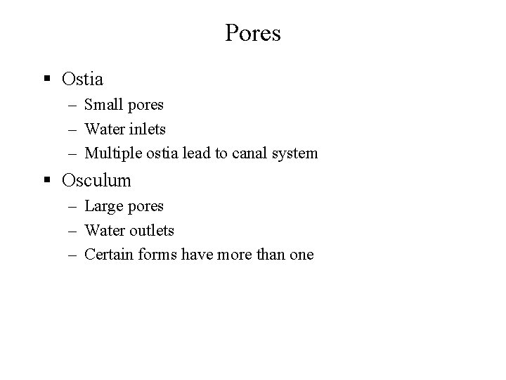 Pores § Ostia – Small pores – Water inlets – Multiple ostia lead to