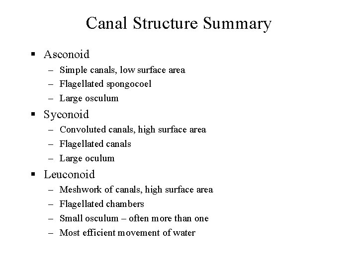Canal Structure Summary § Asconoid – Simple canals, low surface area – Flagellated spongocoel