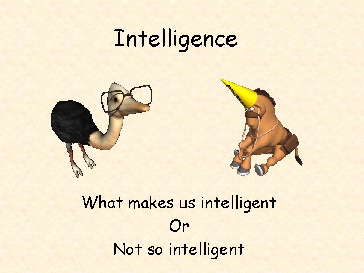 Intelligence What makes us intelligent Or Not so intelligent 