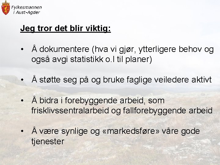 Jeg tror det blir viktig: • Å dokumentere (hva vi gjør, ytterligere behov og