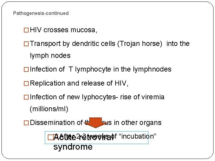 Pathogenesis-continued � HIV crosses mucosa, � Transport by dendritic cells (Trojan horse) into the