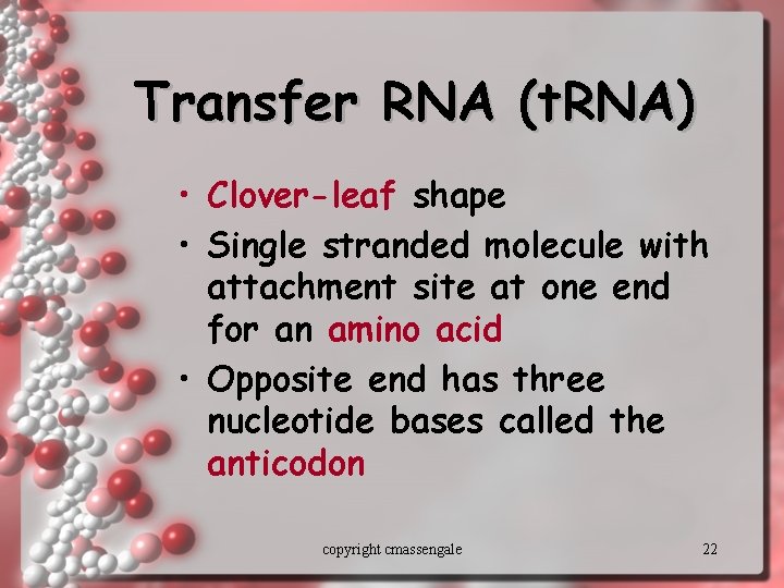 Transfer RNA (t. RNA) • Clover-leaf shape • Single stranded molecule with attachment site