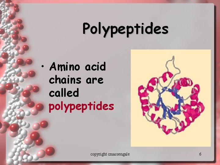 Polypeptides • Amino acid chains are called polypeptides copyright cmassengale 6 
