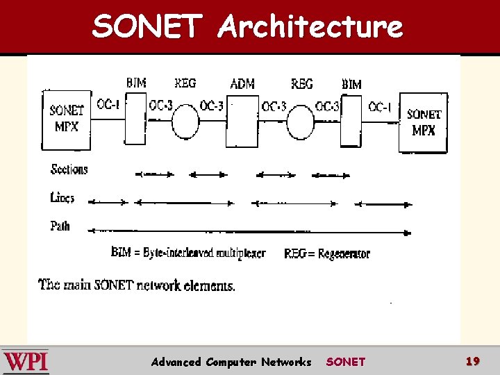 SONET Architecture Advanced Computer Networks SONET 19 