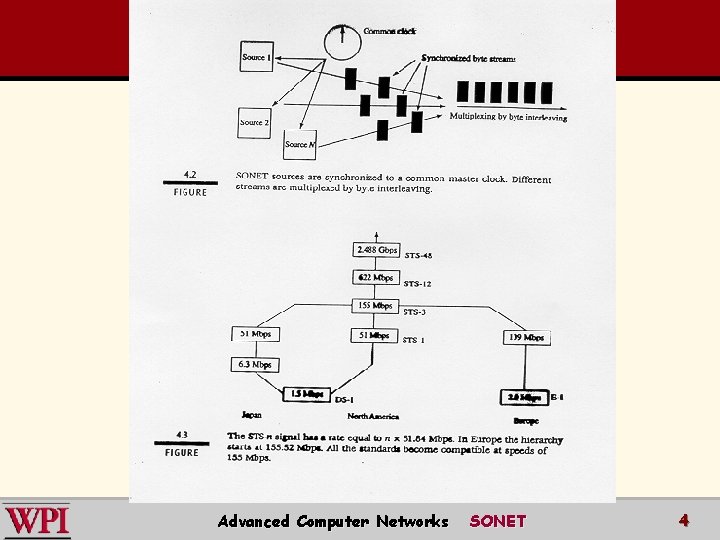 Advanced Computer Networks SONET 4 