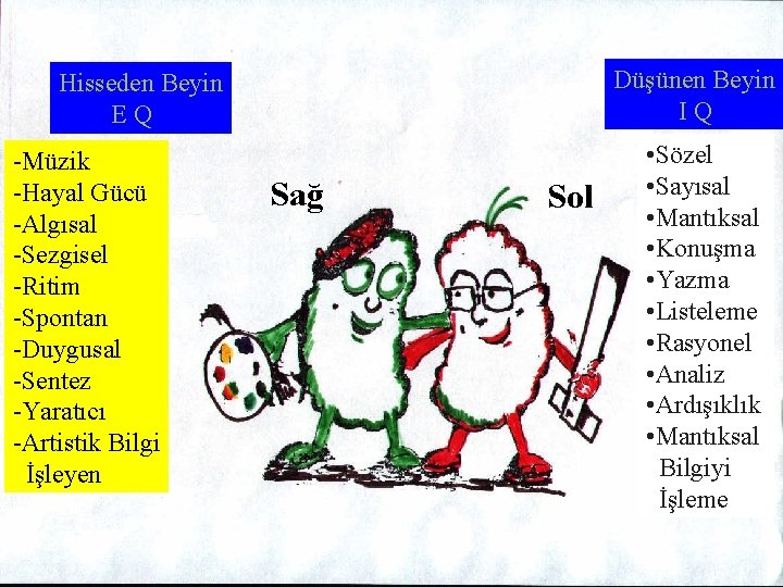 Düşünen Beyin IQ Hisseden Beyin EQ -Müzik -Hayal Gücü -Algısal -Sezgisel -Ritim -Spontan -Duygusal