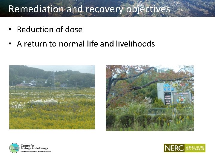 Remediation and recovery objectives • Reduction of dose • A return to normal life