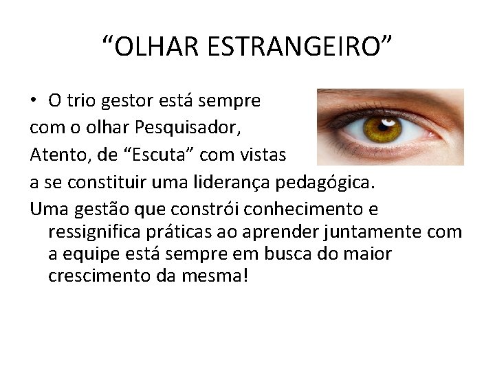“OLHAR ESTRANGEIRO” • O trio gestor está sempre com o olhar Pesquisador, Atento, de