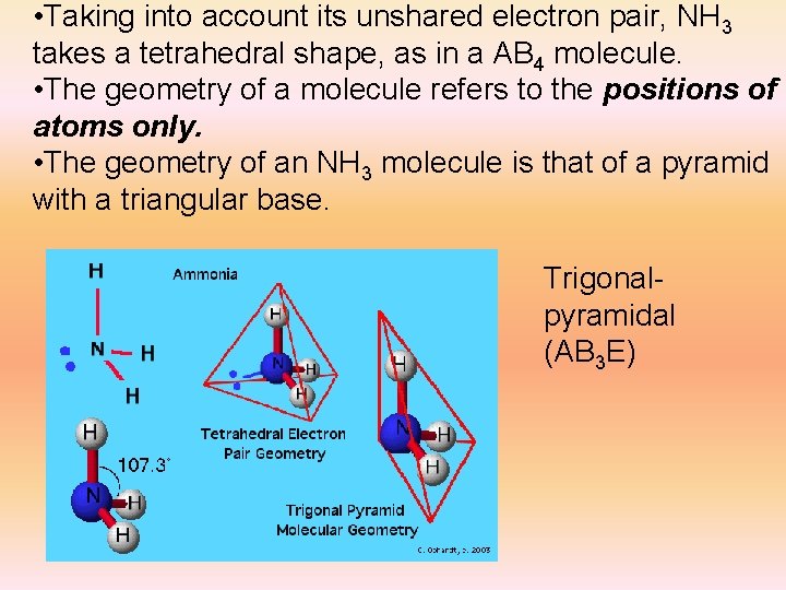  • Taking into account its unshared electron pair, NH 3 takes a tetrahedral
