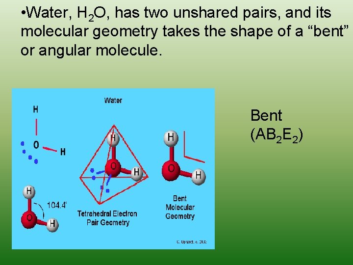  • Water, H 2 O, has two unshared pairs, and its molecular geometry