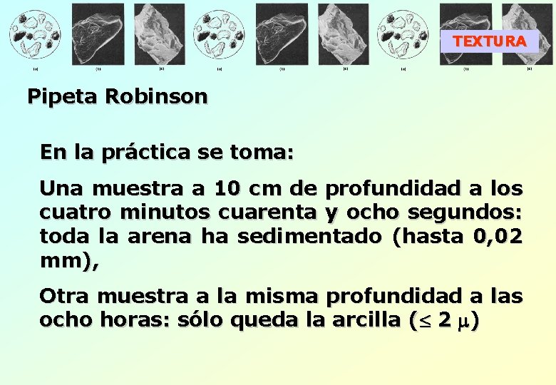 TEXTURA Pipeta Robinson En la práctica se toma: Una muestra a 10 cm de