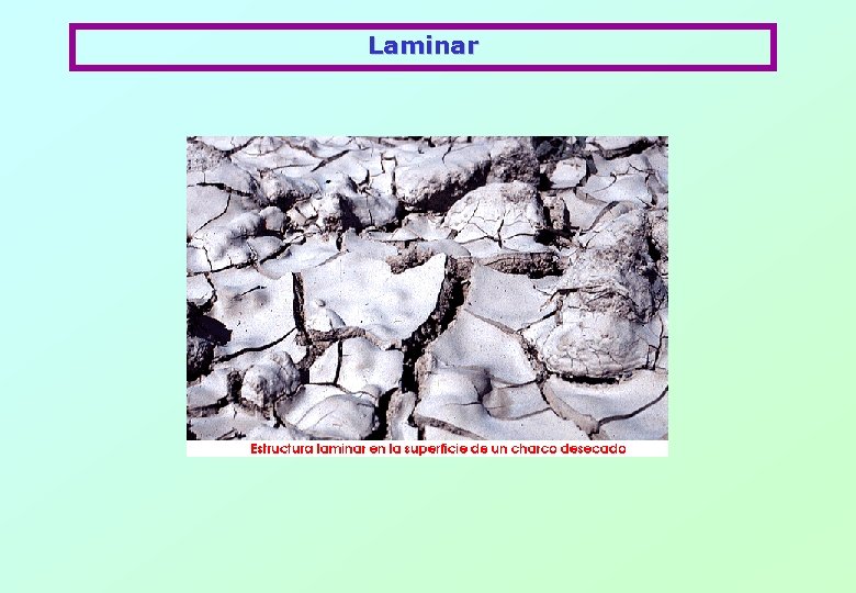 Laminar 