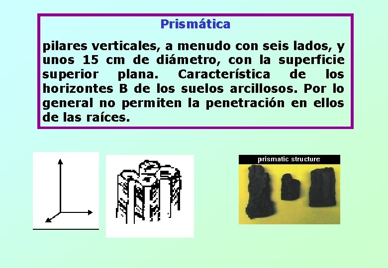 Prismática pilares verticales, a menudo con seis lados, y unos 15 cm de diámetro,
