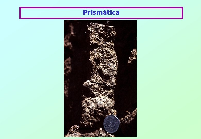 Prismática 