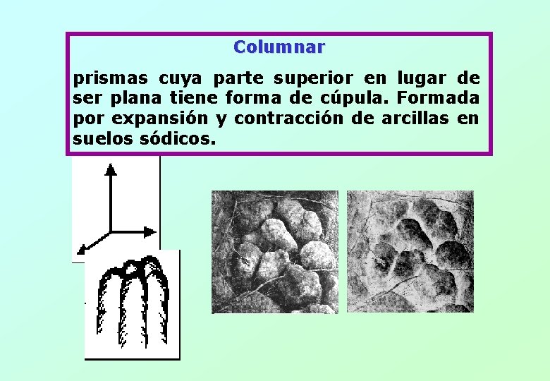 Columnar prismas cuya parte superior en lugar de ser plana tiene forma de cúpula.