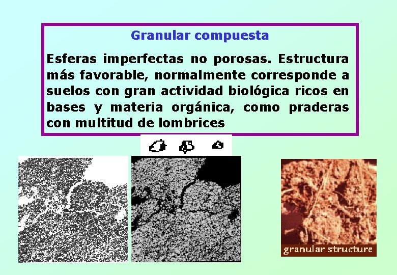Granular compuesta Esferas imperfectas no porosas. Estructura más favorable, normalmente corresponde a suelos con