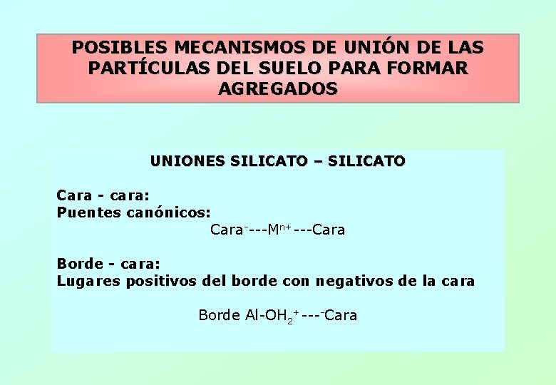 POSIBLES MECANISMOS DE UNIÓN DE LAS PARTÍCULAS DEL SUELO PARA FORMAR AGREGADOS UNIONES SILICATO