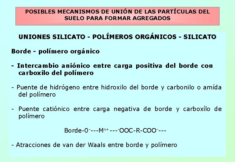 POSIBLES MECANISMOS DE UNIÓN DE LAS PARTÍCULAS DEL SUELO PARA FORMAR AGREGADOS UNIONES SILICATO