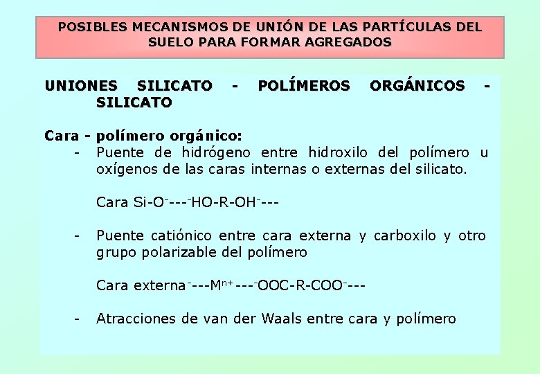 POSIBLES MECANISMOS DE UNIÓN DE LAS PARTÍCULAS DEL SUELO PARA FORMAR AGREGADOS UNIONES SILICATO