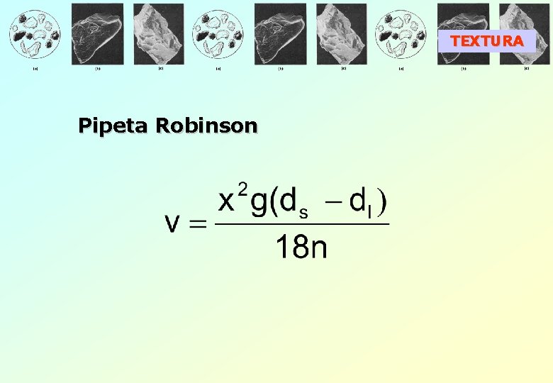 TEXTURA Pipeta Robinson 