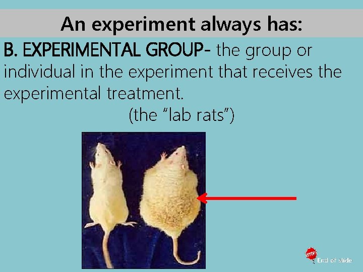 An experiment always has: B. EXPERIMENTAL GROUP- the group or individual in the experiment