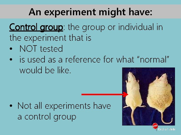 An experiment might have: Control group: the group or individual in the experiment that