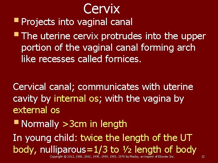 Cervix § Projects into vaginal canal § The uterine cervix protrudes into the upper