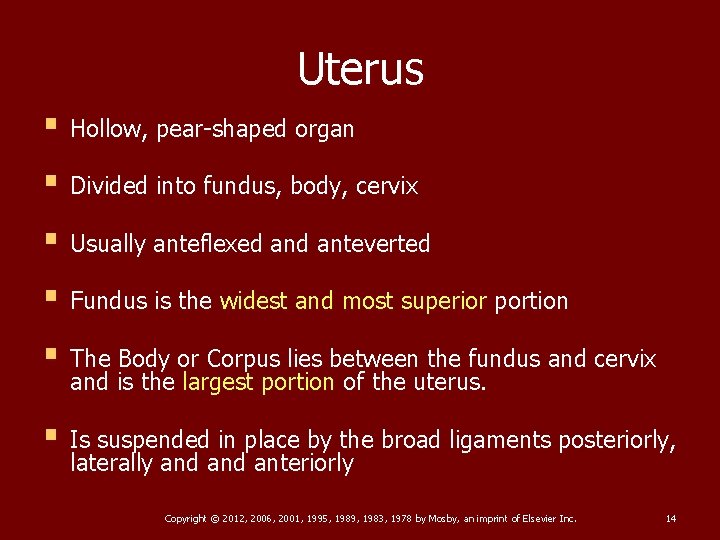 Uterus § Hollow, pear-shaped organ § Divided into fundus, body, cervix § Usually anteflexed