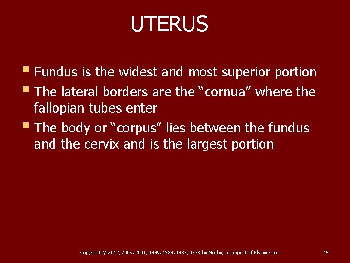 UTERUS § Fundus is the widest and most superior portion § The lateral borders