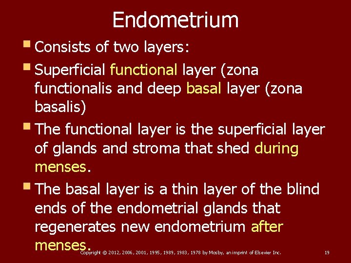Endometrium § Consists of two layers: § Superficial functional layer (zona functionalis and deep