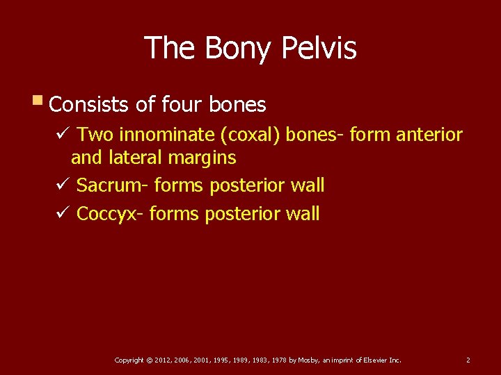 The Bony Pelvis § Consists of four bones ü Two innominate (coxal) bones- form