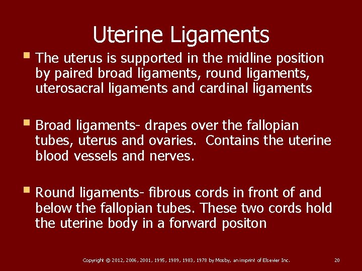 Uterine Ligaments § The uterus is supported in the midline position by paired broad