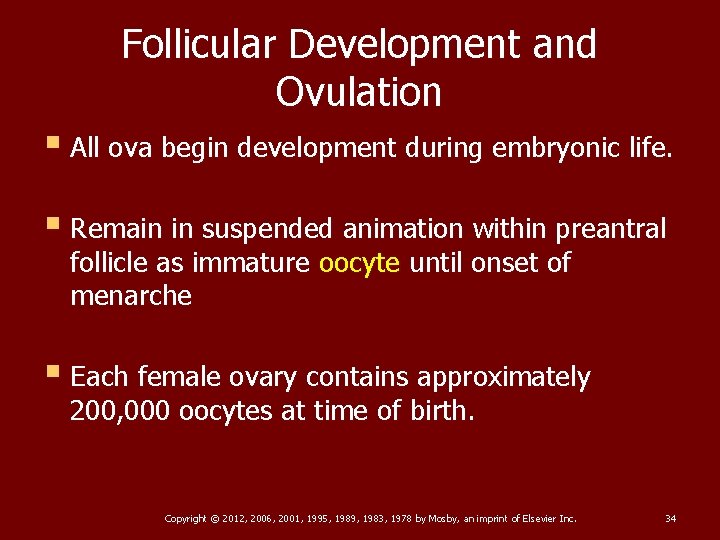 Follicular Development and Ovulation § All ova begin development during embryonic life. § Remain