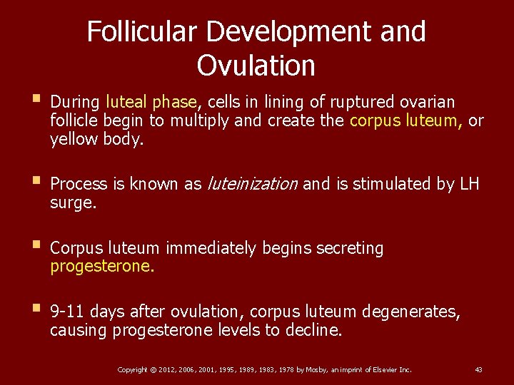 Follicular Development and Ovulation § During luteal phase, cells in lining of ruptured ovarian