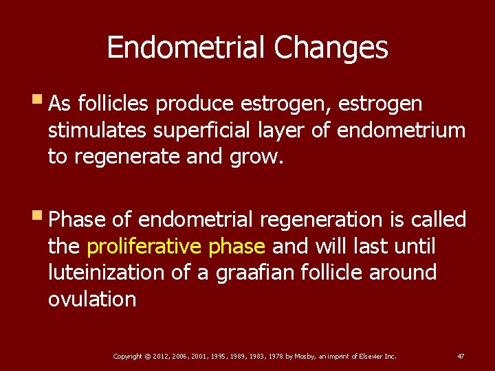 Endometrial Changes § As follicles produce estrogen, estrogen stimulates superficial layer of endometrium to