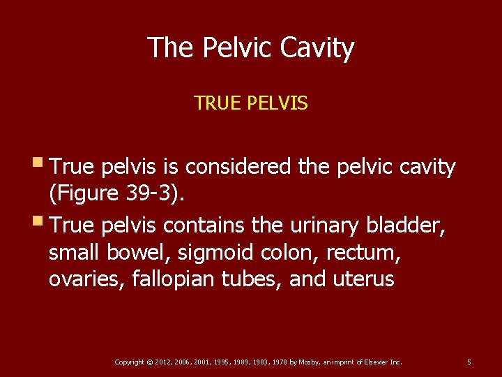 The Pelvic Cavity TRUE PELVIS § True pelvis is considered the pelvic cavity (Figure