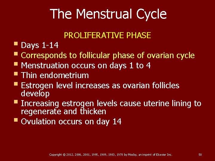 The Menstrual Cycle PROLIFERATIVE PHASE § Days 1 -14 § Corresponds to follicular phase