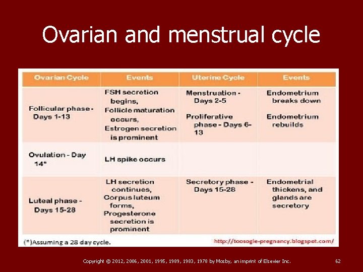 Ovarian and menstrual cycle Copyright © 2012, 2006, 2001, 1995, 1989, 1983, 1978 by