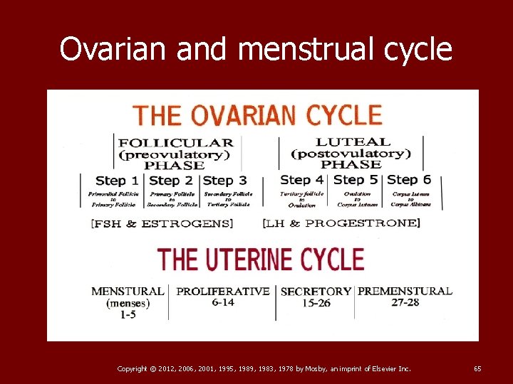 Ovarian and menstrual cycle Copyright © 2012, 2006, 2001, 1995, 1989, 1983, 1978 by