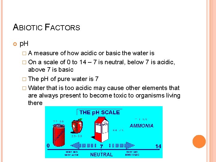 ABIOTIC FACTORS p. H �A measure of how acidic or basic the water is