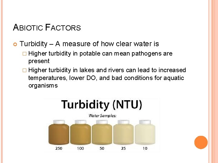 ABIOTIC FACTORS Turbidity – A measure of how clear water is � Higher turbidity