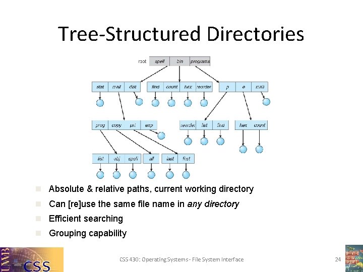 Tree-Structured Directories n Absolute & relative paths, current working directory n Can [re]use the