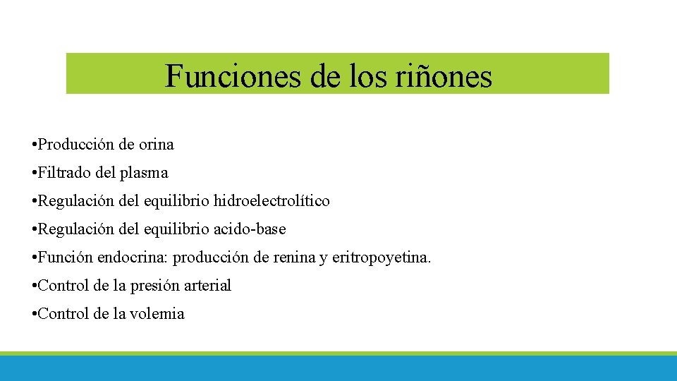 Funciones de los riñones • Producción de orina • Filtrado del plasma • Regulación